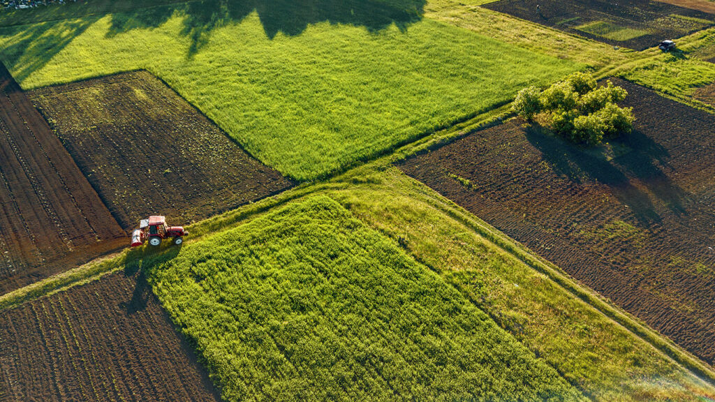 tendências do agronegócio. Um campo de cultivo.
