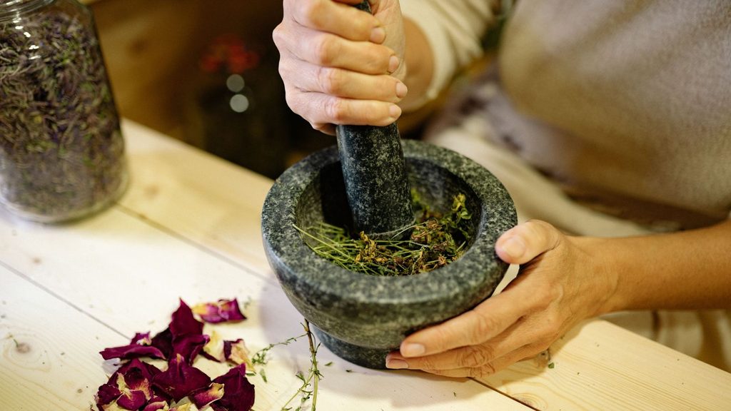 Cultivo de plantas medicinais para estudo e produção.